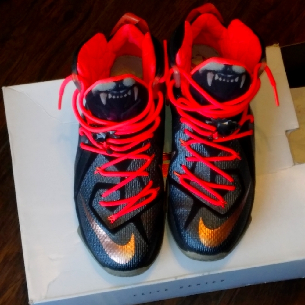 LeBron special edition sneaker